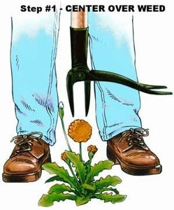 Grampa's Weeder - The Original Stand Up Weed Puller Tool with Long Handle - Made with Real Bamboo & 4-Claw Steel Head Design - Easily Remove Weeds Without Bending, Pulling, or Kneeling