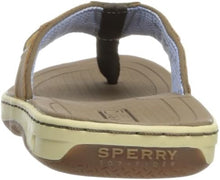 Load image into Gallery viewer, Sperry Men&#39;s Baitfish Thong Sandal