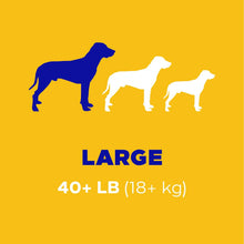 Load image into Gallery viewer, PEDIGREE DENTASTIX Large Dog Dental Care Treats Original, Beef &amp; Fresh Variety Pack, 2.73 lb.Pack (51 Treats)