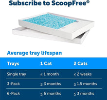 Load image into Gallery viewer, PetSafe ScoopFree Crystal Litter Tray Refills, Premium Blue Crystals, 3-Pack, Disposable Tray, Includes Leak Protection &amp; Low Tracking Litter, Absorbs Odors On Contact