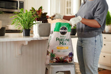 Load image into Gallery viewer, Miracle-Gro Indoor Potting Mix - Blended for a Wide Variety of Container Plants, 16 qt. (2-Pack)