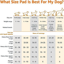 Load image into Gallery viewer, Amazon Basics Dog and Puppy Pee Pads with Leak-Proof Quick-Dry Design for Potty Training, Standard Absorbency, Regular Size, 22 x 22 Inches, Pack of 100, Blue &amp; White