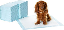 Load image into Gallery viewer, Amazon Basics Dog and Puppy Pee Pads with Leak-Proof Quick-Dry Design for Potty Training, Standard Absorbency, Regular Size, 22 x 22 Inches, Pack of 100, Blue &amp; White