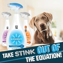 Load image into Gallery viewer, Pooph Pet Odor Eliminator, 32oz Spray - Dismantles Odors on a Molecular Basis, Dogs, Cats, Freshener, Eliminator, Urine, Poop, Pee, Deodorizer, Natures, Puppy, Fresh, Clean, Furniture, Potty, Safe