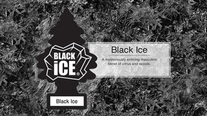 Little Trees Car Freshener, Black Ice, 10-Pack